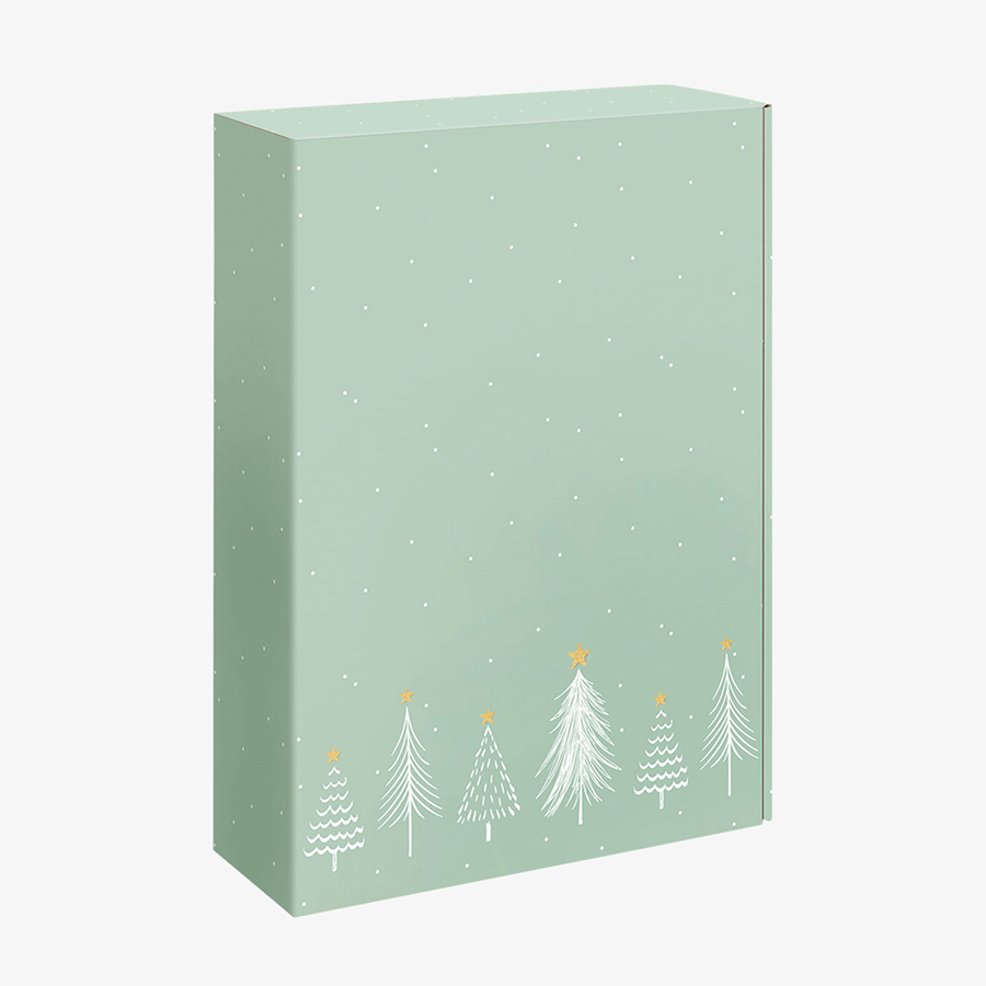 Präsentkarton (36 x 25 x 9,5 cm gross) in modernem Hellgrün mit schlichtem Weihnachtsmotiv