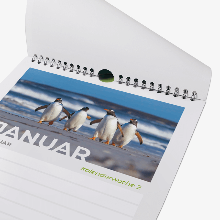 Wandkalender Wochenkalender quadratisch Ausschnitt